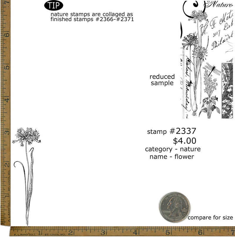 #2337 - Flower - Nature